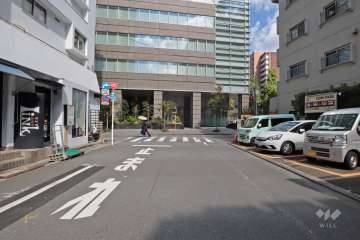 敷地東側の前面道路（南側から）