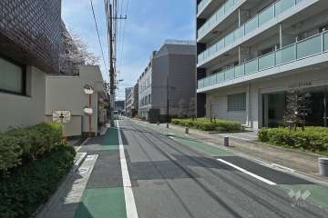 敷地西側の前面道路（北側から）