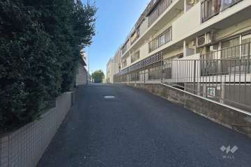 敷地東側の前面道路（北側から）