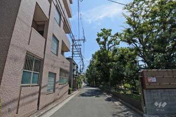 敷地西側の前面道路（北側から）