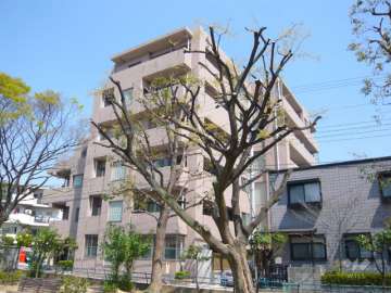 外観（南西側から）