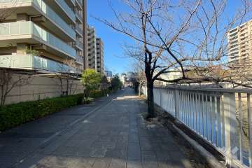 敷地の北側前面通路（東側から）
