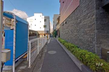 敷地北側の前面道路（西側から）