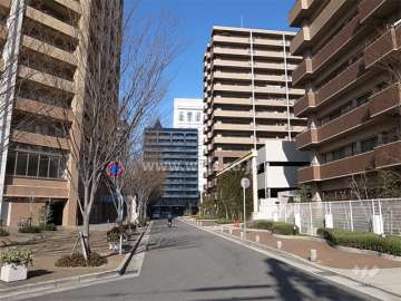 敷地西側の前面道路。周辺はマンションが多く立ち並ぶ住宅地です。