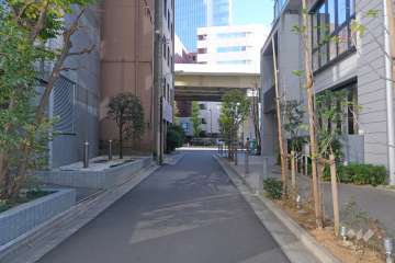 敷地北側の前面道路（西側から）