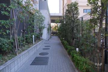 敷地南側の前面通路路（西側から）