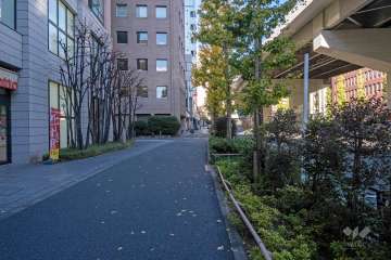 敷地東側の前面道路（南側から）