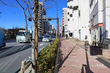 敷地南西側の前面道路