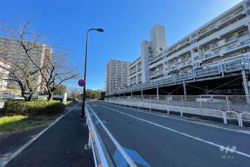 敷地北側の前面道路（西側から）