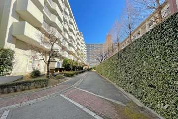 敷地南側の前面道路（西側から）