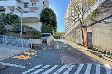 敷地西側の前面道路（北側から）