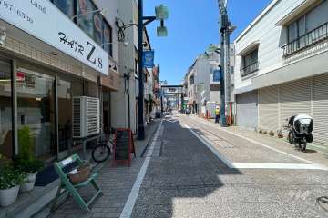 敷地北側の前面道路（東側から）