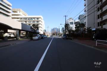 敷地北側の前面道路(西側から)
