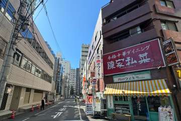 敷地南東側の前面道路（北東側から）