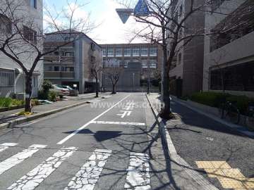 敷地東側の前面道路