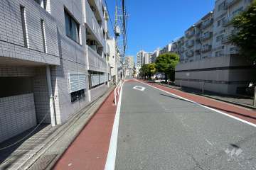 敷地南側の前面道路（西側から）