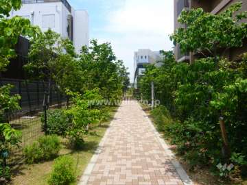 敷地内の通路。植栽スペースが多く、緑豊かです。