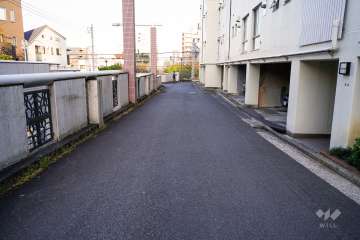 敷地北側の前面道路（西側から）