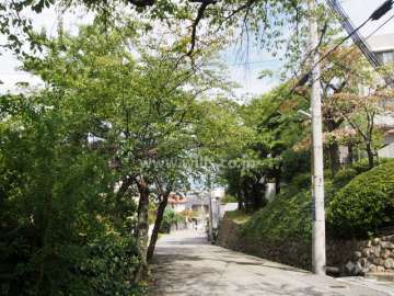 敷地北側の前面道路