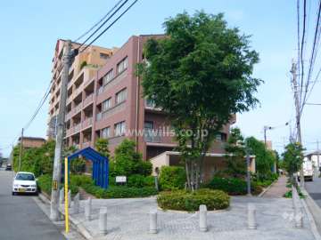 外観（北側から）　