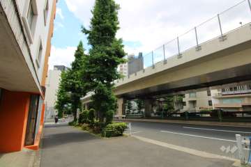 敷地西側の前面道路（北側から）