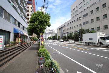 敷地東側の前面道路（南側から）