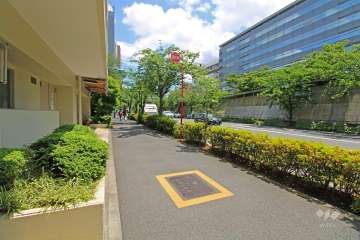 敷地の南側前面道路（西側から）