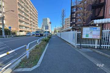 敷地の北側前面道路（西側から）