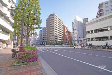 敷地南西側の前面道路（北西側から）