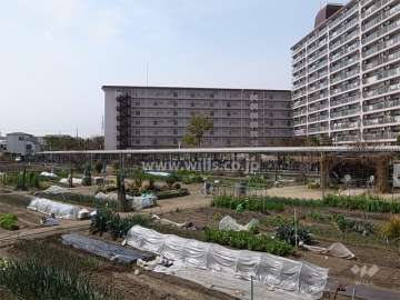 敷地の南側には田畑が広がっています。