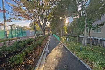 敷地の東側道路（北側から）