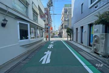 敷地西側の前面道路（北側から）