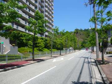 前面道路は街路樹のきれいな通りです。