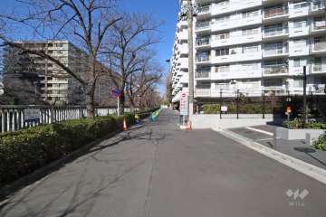 敷地南西側の前面道路（南東側から）