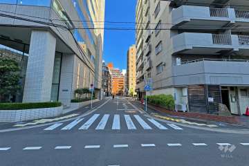 敷地の西側前面道路（南側から）