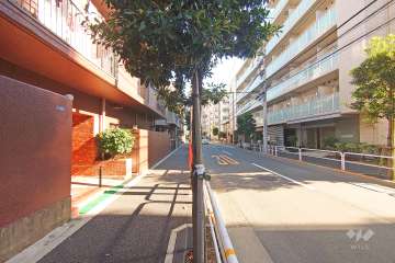 敷地の南西側前面道路（北西側から）