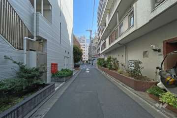 敷地東側の前面道路（北側から）