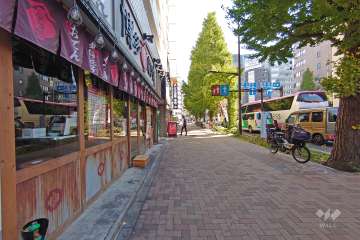 敷地の南側前面道路は都道317号線です（西側から）。