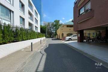 敷地東側の前面道路（北側から）
