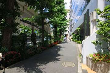 敷地西側の前面道路（南側から）