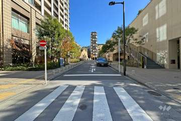 敷地西側の前面道路（西側から）