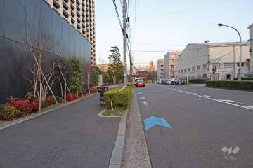 敷地南側の前面道路（西側から）