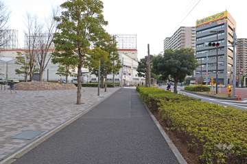 敷地西側の前面道路（北側から）