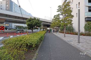 敷地西側の前面道路（南側から）