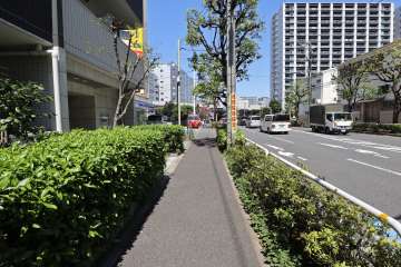 敷地東側の前面道路（南側から）