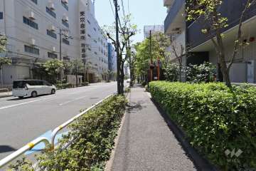 敷地東側の前面道路（北側から）