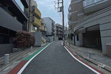 敷地西側の前面道路（北側から）