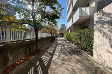 敷地南側の前面道路