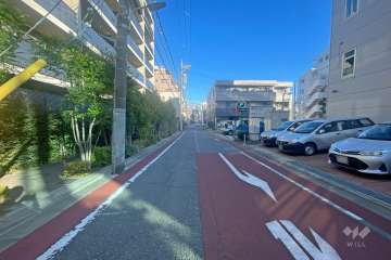 敷地南側の前面道路（西側から）