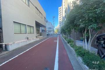 敷地西側の前面道路（南側から）